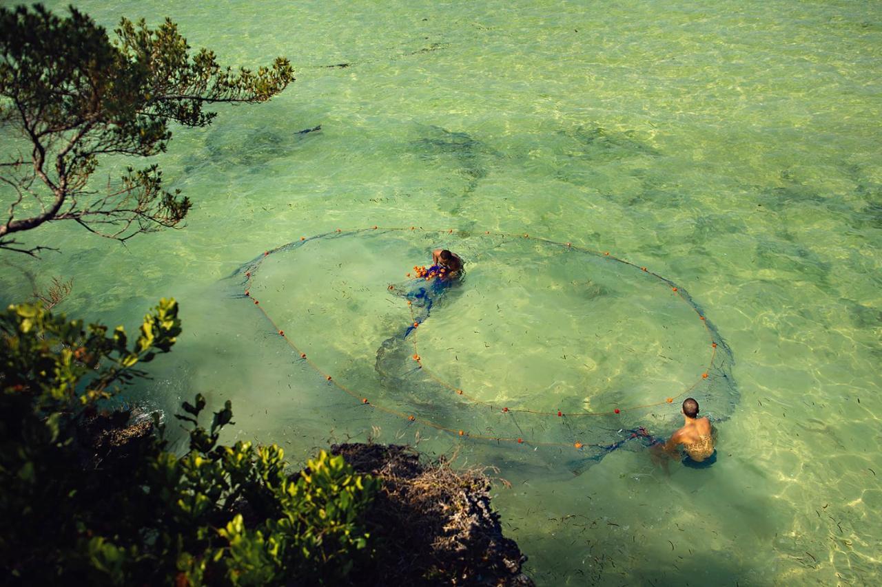 The Island - Pongwe Lodge (Adults Only) المظهر الخارجي الصورة