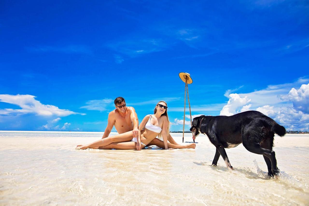 The Island - Pongwe Lodge (Adults Only) المظهر الخارجي الصورة