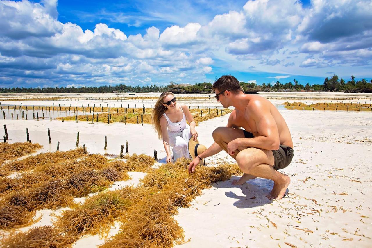 The Island - Pongwe Lodge (Adults Only) المظهر الخارجي الصورة