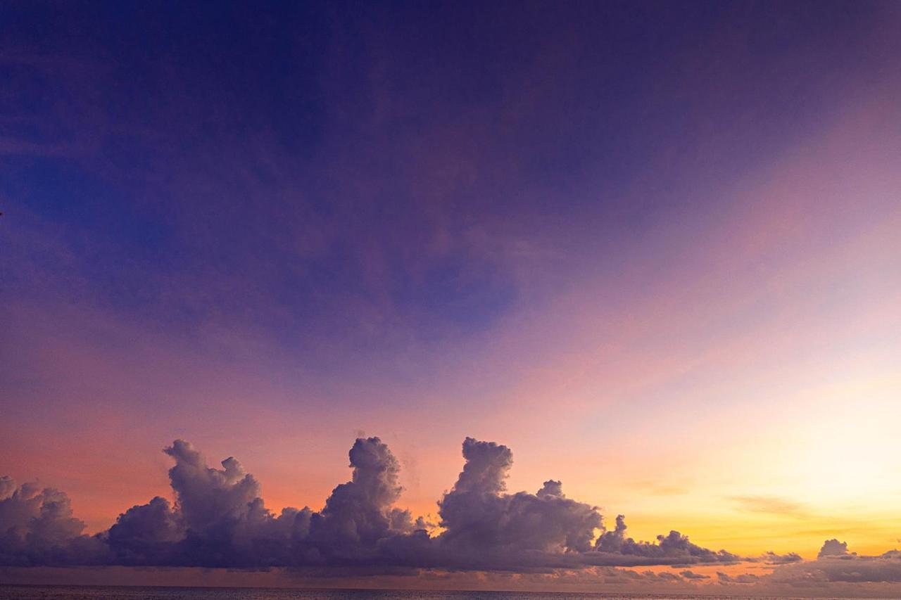 The Island - Pongwe Lodge (Adults Only) المظهر الخارجي الصورة