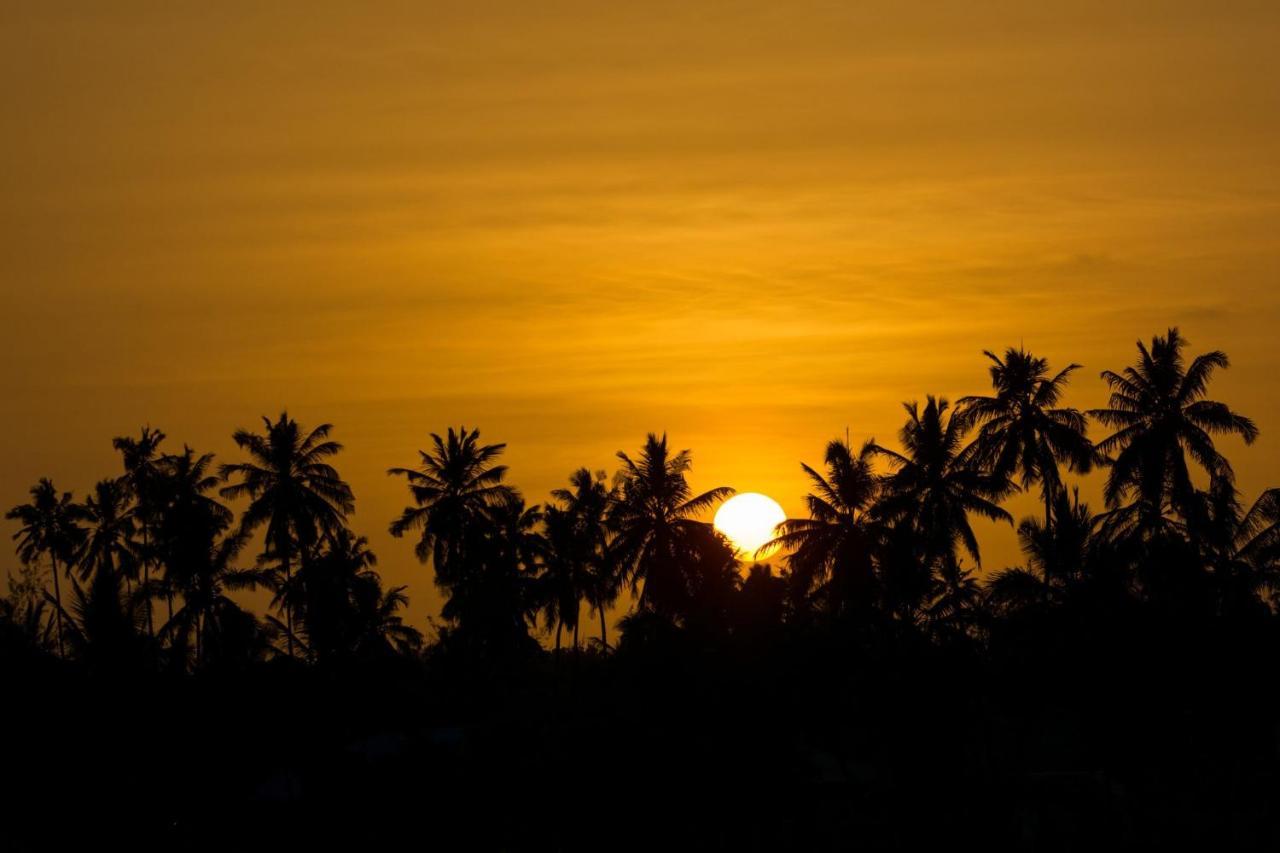 The Island - Pongwe Lodge (Adults Only) المظهر الخارجي الصورة